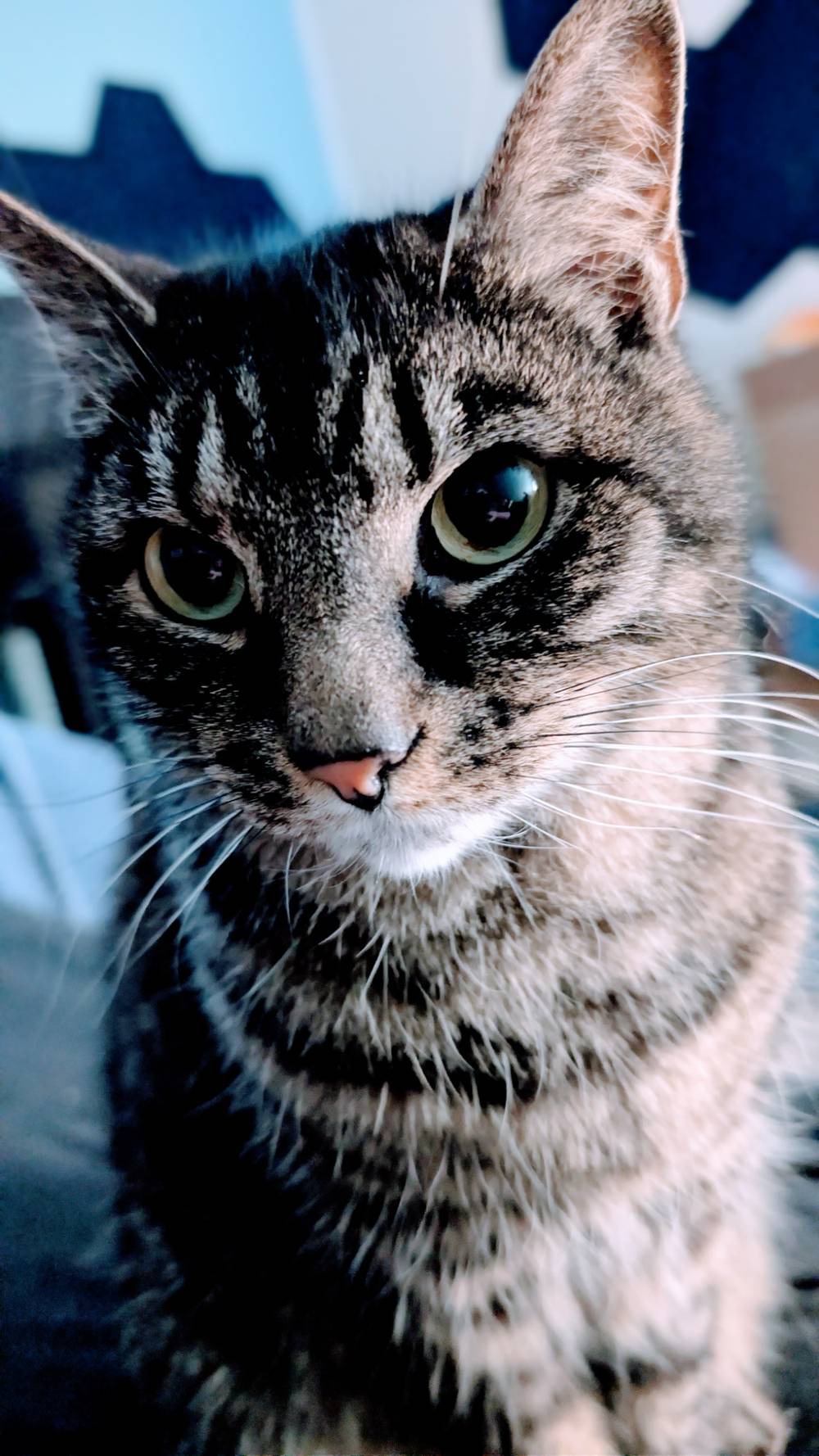 My little pink nose. 🩷