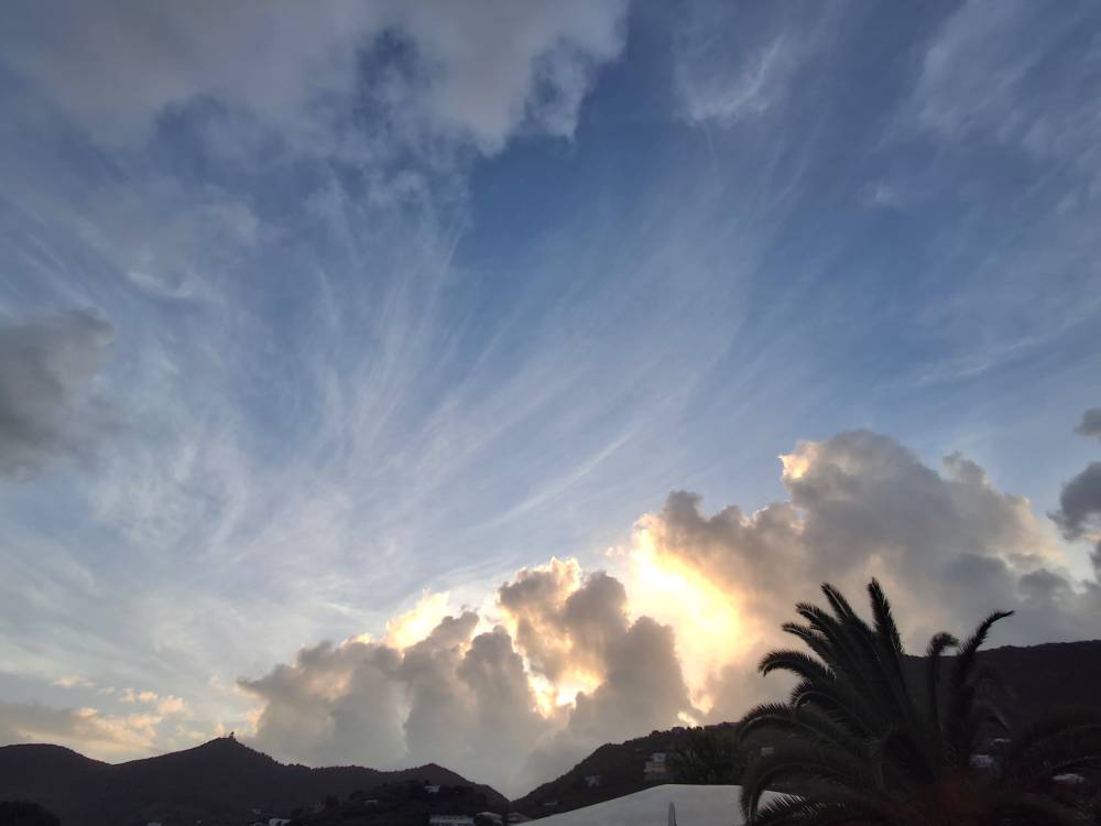 dramatic cloud in blue sky part of tree seen. go vegan. dairy is rape. 