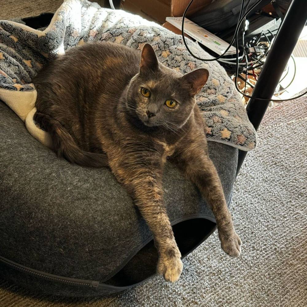 literally hanging out