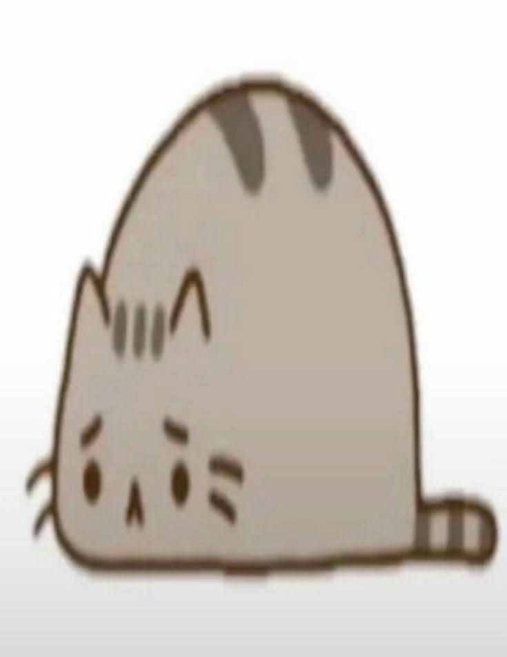 trangkimnha