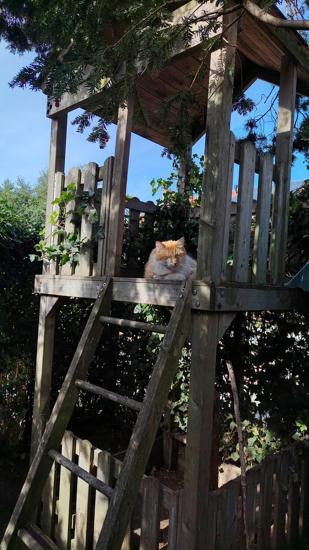 Guus in his hut