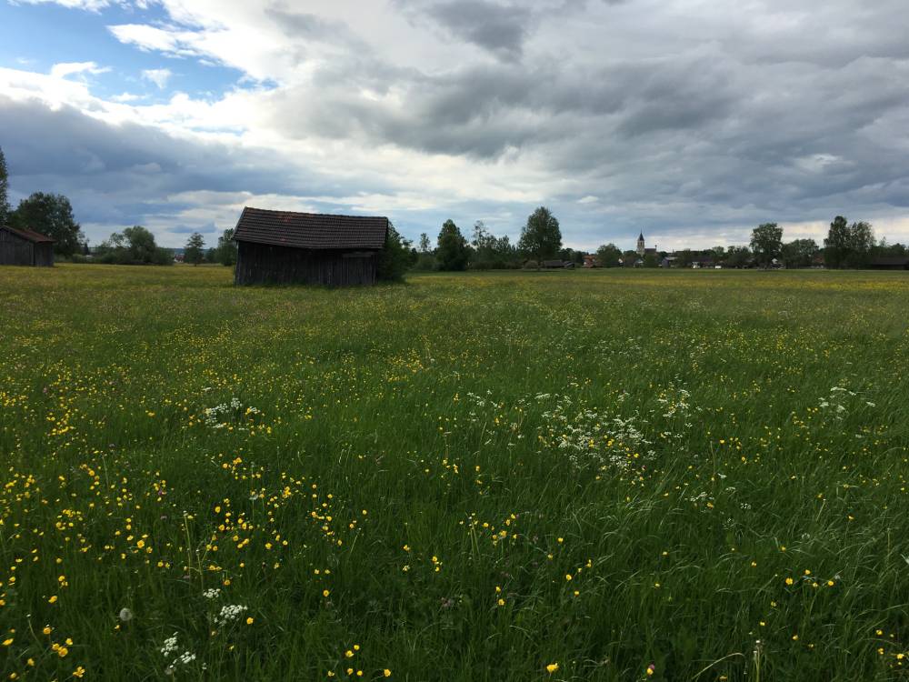 A Country Spring