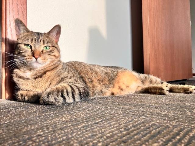 Coco posing for the camera.