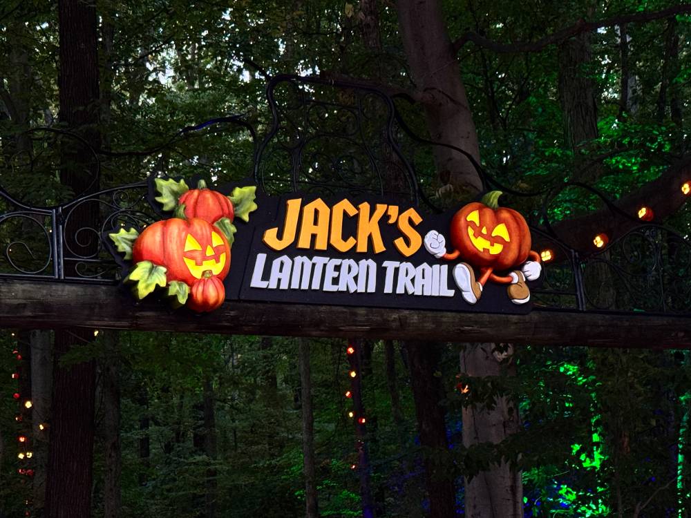 Autumn Season Tradition