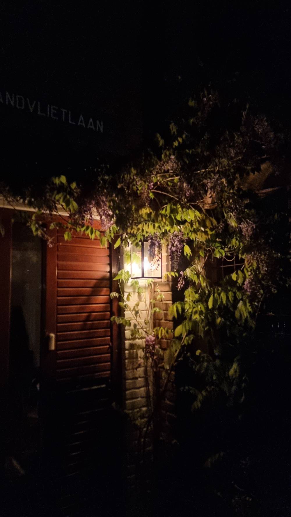A lit doorway with hanging lanterns and climbing plants at night.