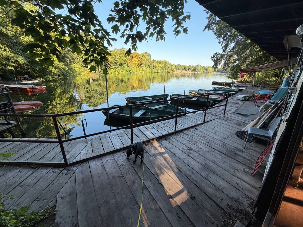foto vom steg der fischerpinte am plötzensee, im hintergrund leere ruderboote und der plötzensee. der himmel ist blau.