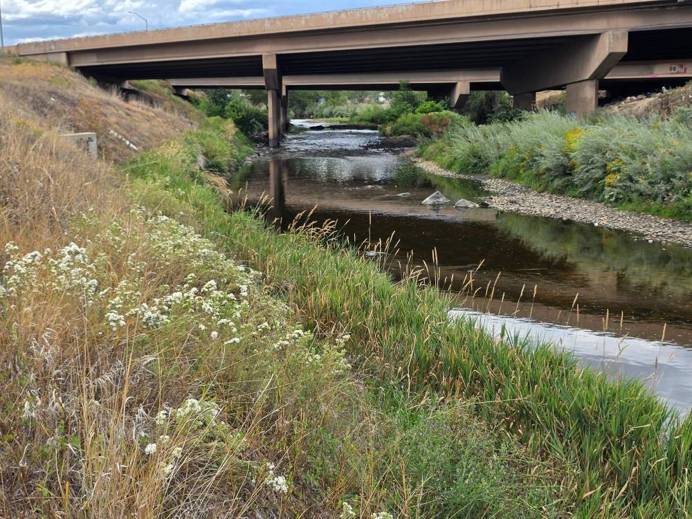 Clear Creek