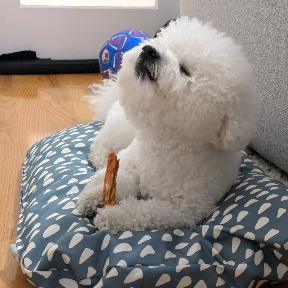 A sweet potato hits different after a long walk, photo 1 of 1
