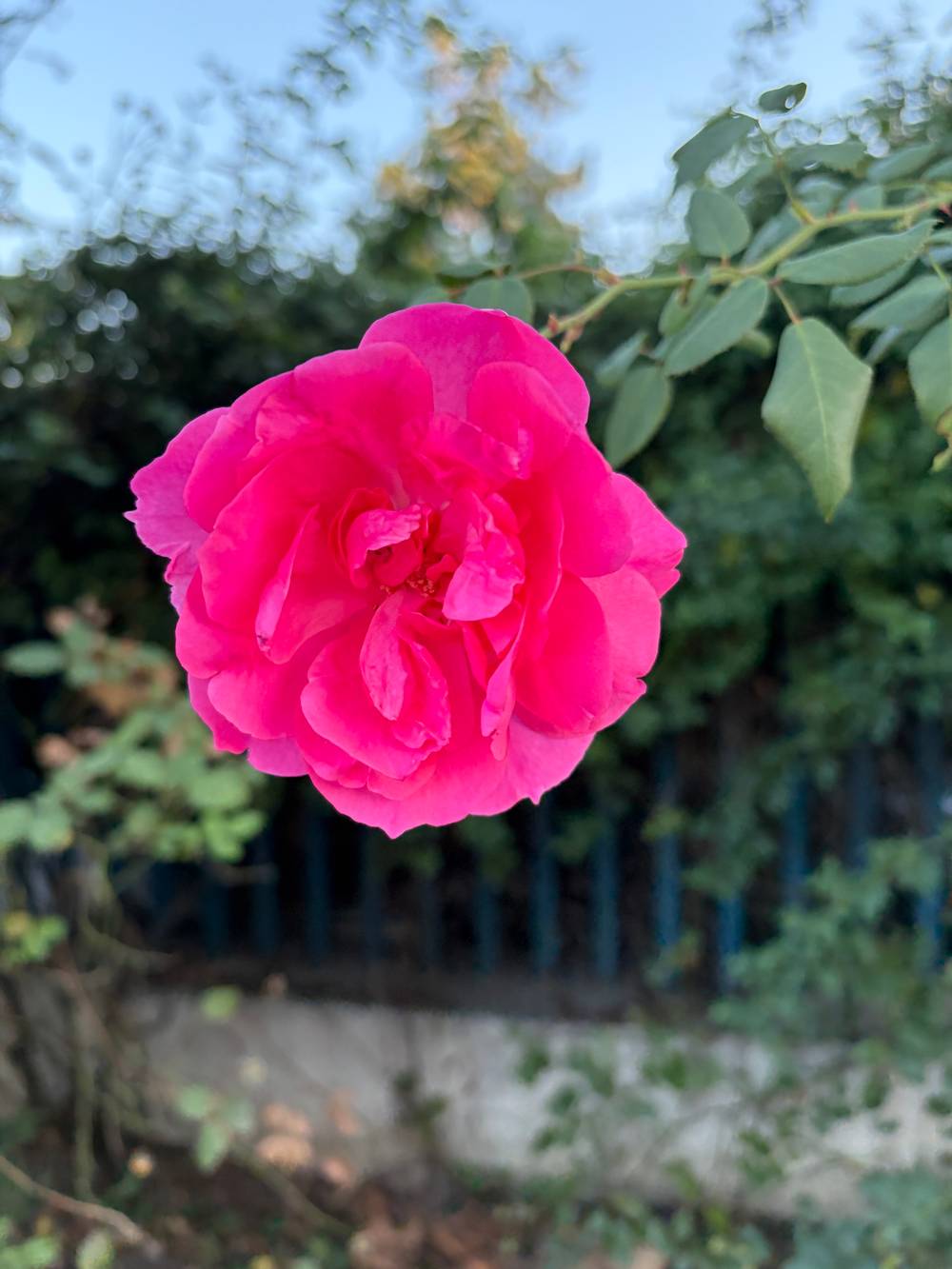 Around Bucharest