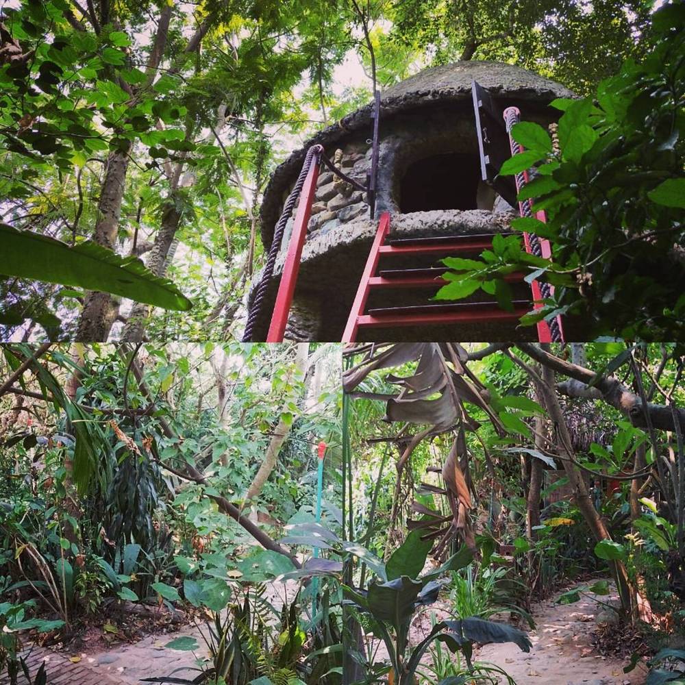 A collage of a thatched treehouse structure with a red ladder, surrounded by dense green foliage.