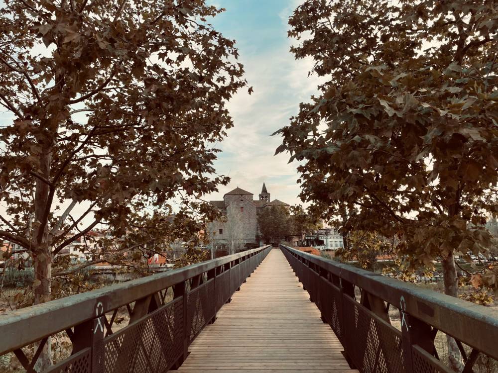 Pont de ferro