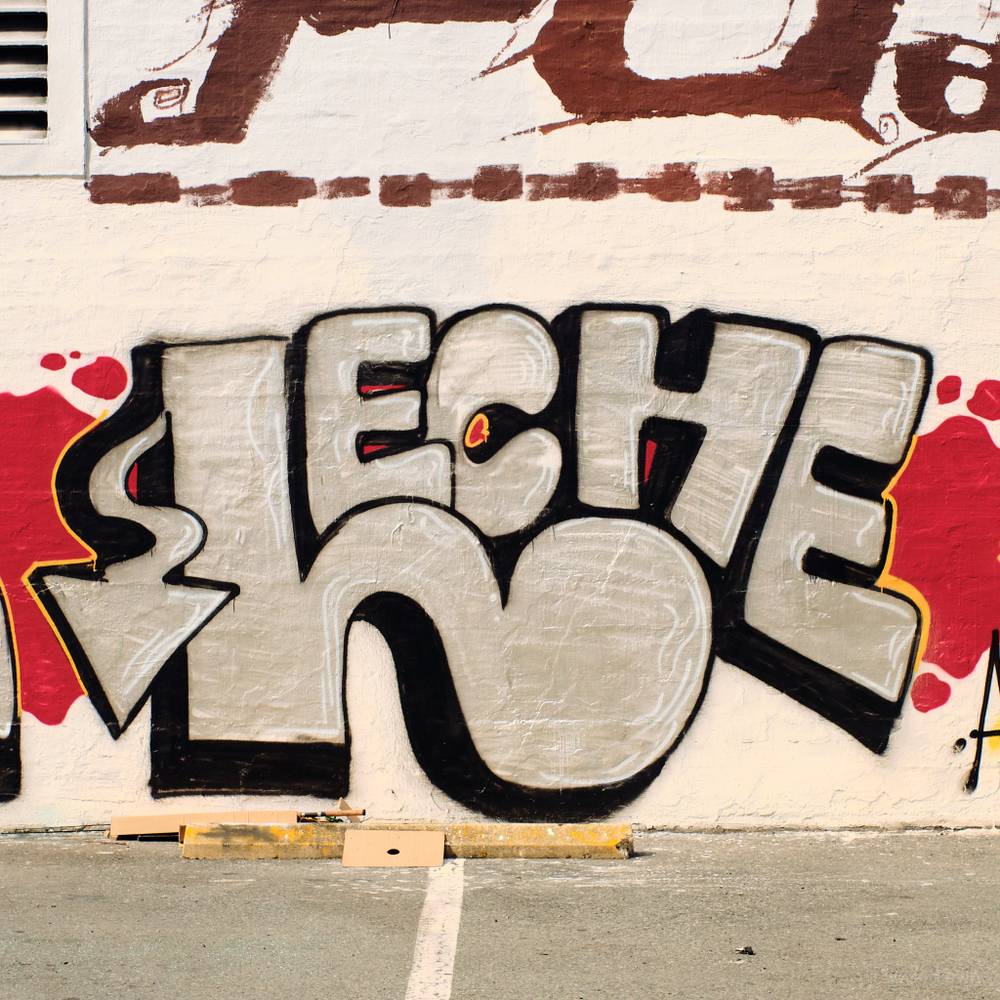 LECHE