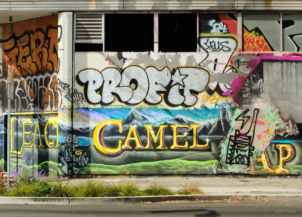 LEACH / CAMEL / PROFIT