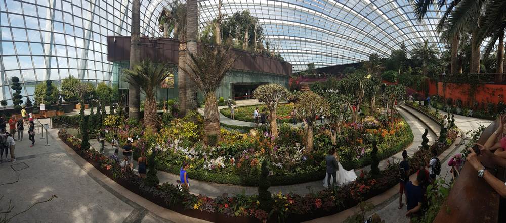 A wide view of the Flower Dome's central garden, with a bridal party visible in the distance.
