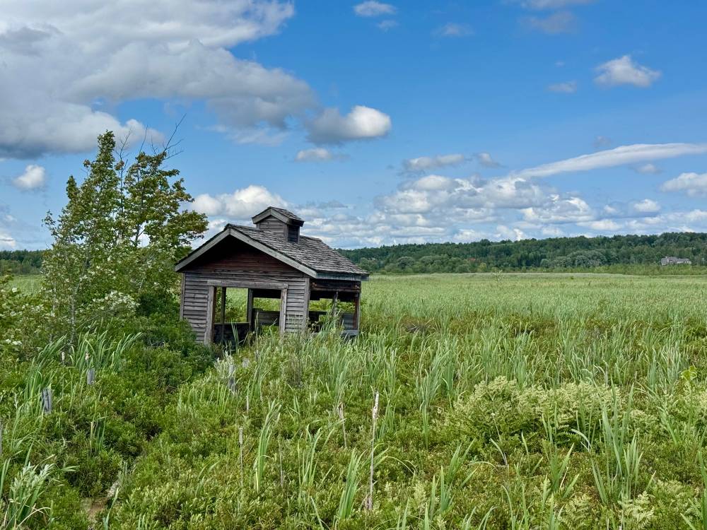 Marais de la Rivière-aux-Cerises