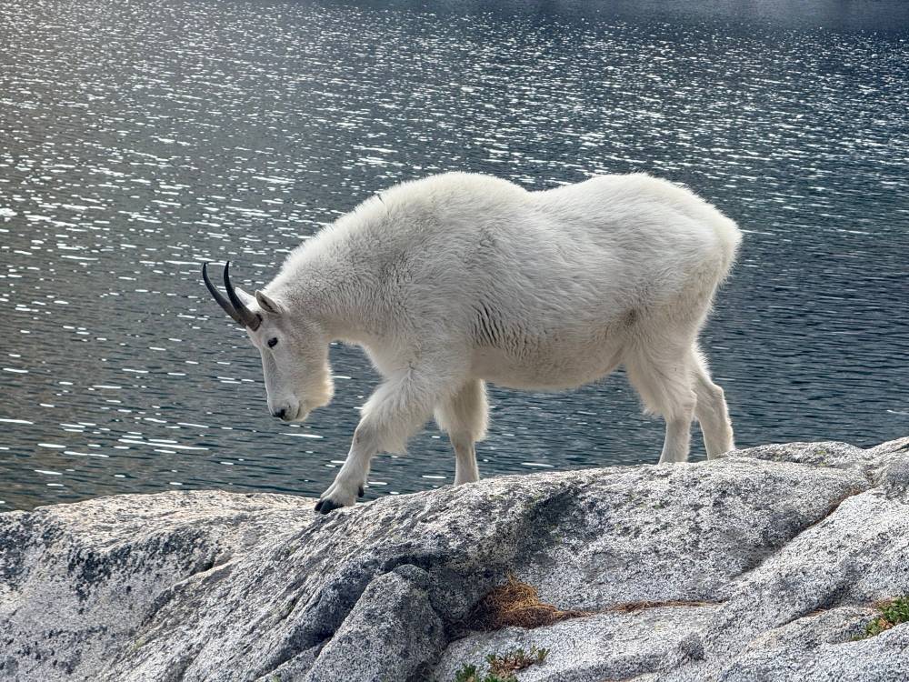 The Enchantments Traverse, photo 2 of 11
