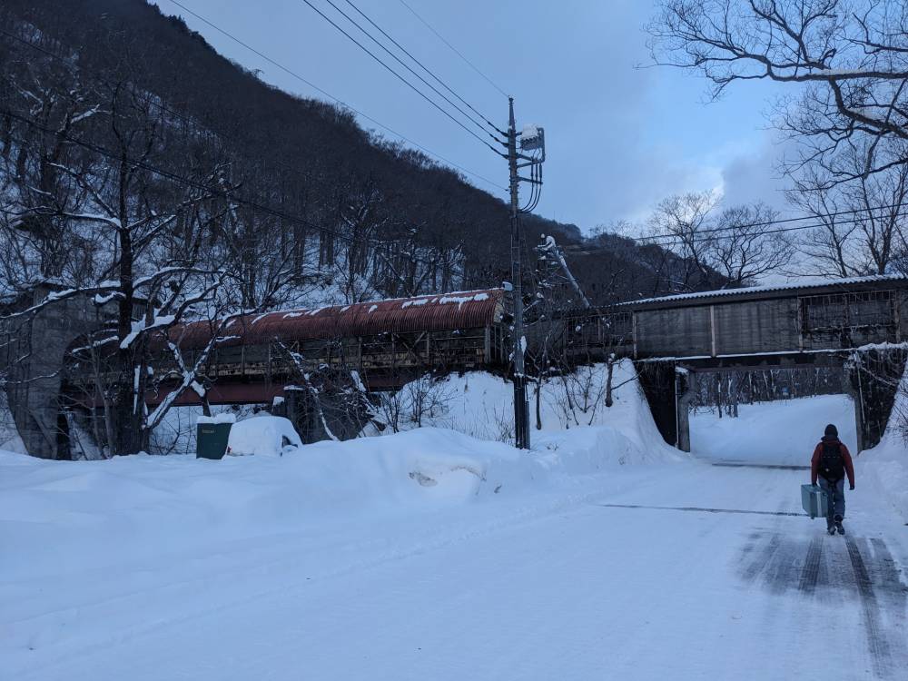 Mt T by Train