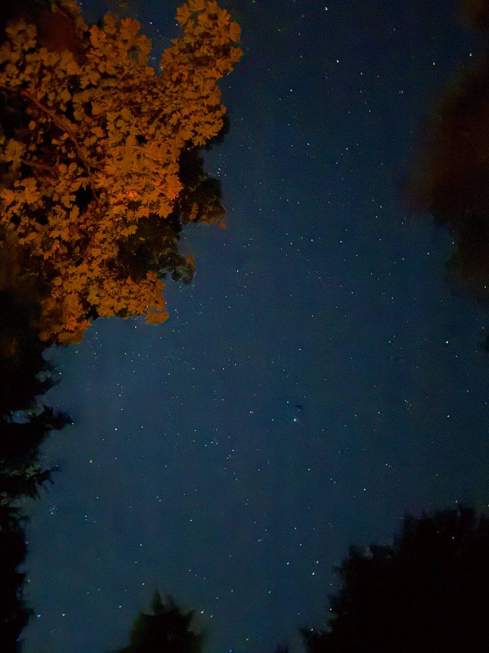 starlight over the campsite