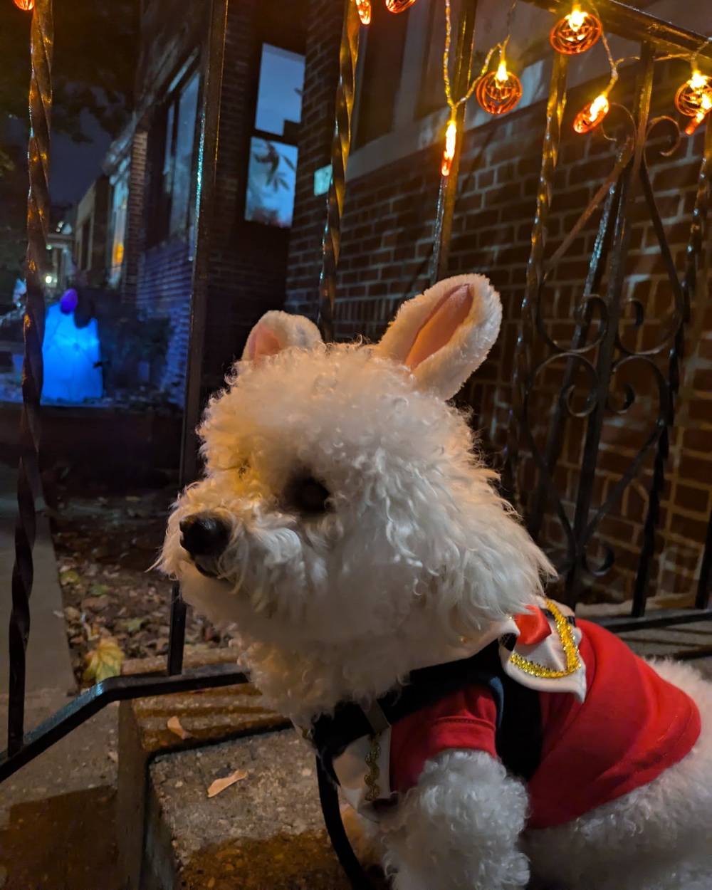 Happy Halloween! I'm the white rabbit from Alice in Wonderland 🐇