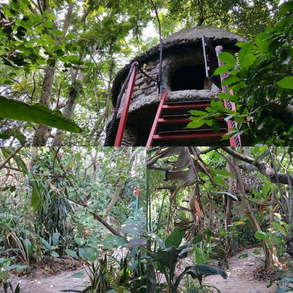 A collage of photos showing a thatched treehouse structure surrounded by dense jungle in daylight.