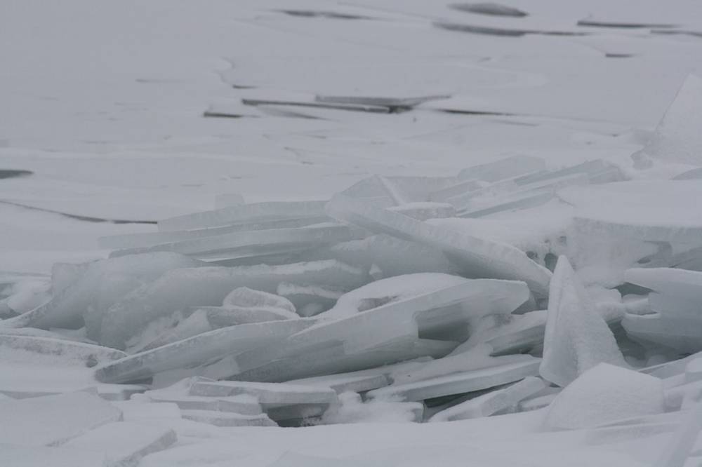A close-up of thin ice sheets stacked and cracked on the frozen water's surface.