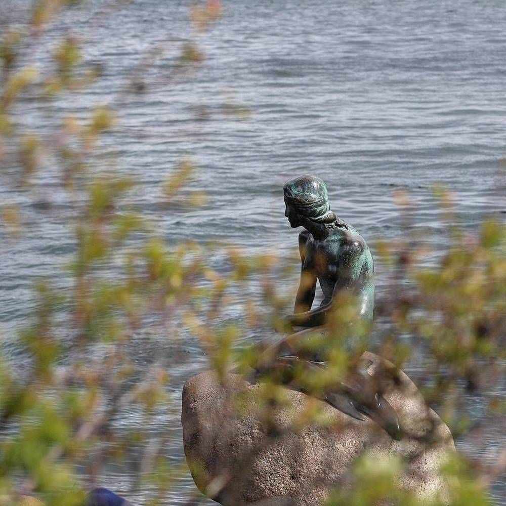 The Little Mermaid bronze statue on a rock by the water, seen through foliage.
