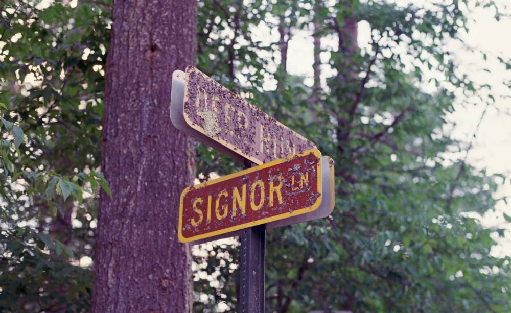 Signor Ln.