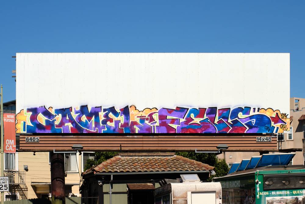 CAMEL / FELLS