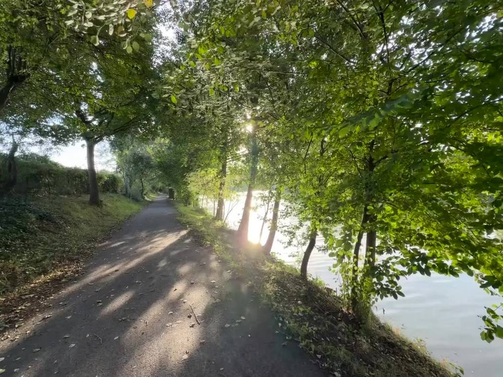 weg am berlin-spandauer schifffahrtskanal. das wasser funkelt im gegenlicht, der weg ist dich bewachsen.