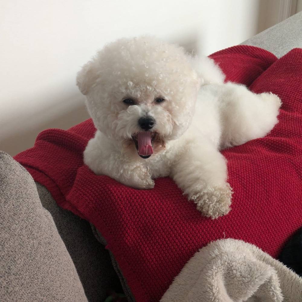 Big yawn! 🥱
