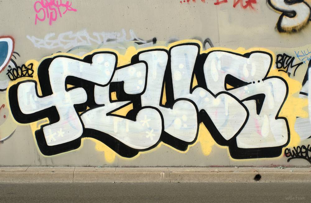 FELLS