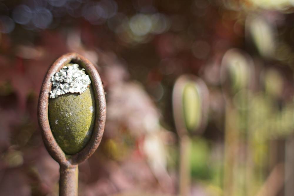 A stone welded into a steel cage on top of a fence post. The stone is wearing a hat of lichen. Most of the rest of the photo is blurred. 