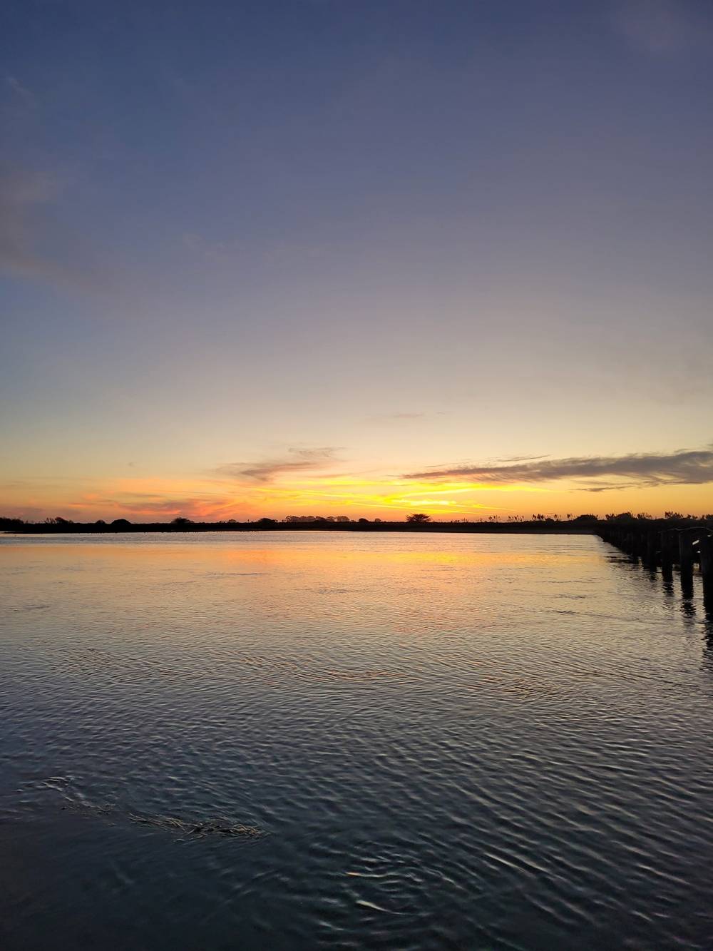 glassy water reflecting a golden sunset with a line of trees in the distance