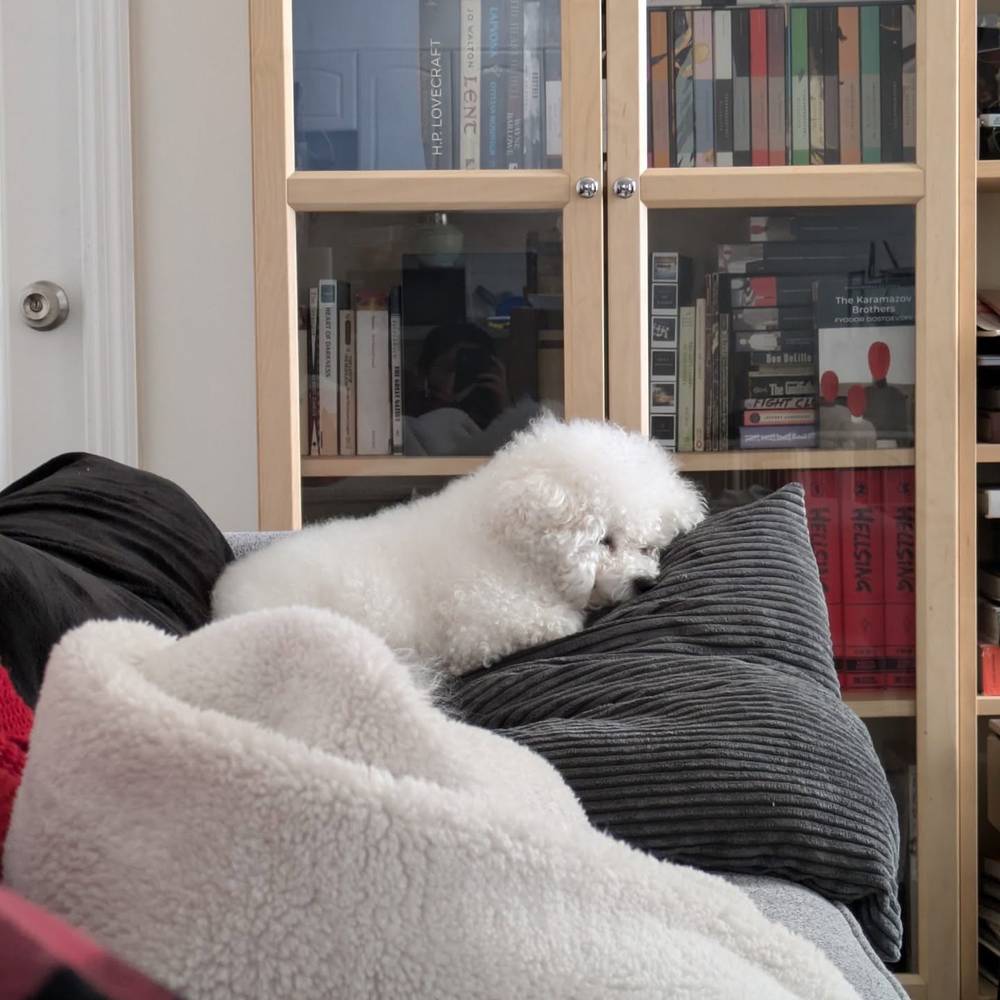 Monday morning nap, no work for me!