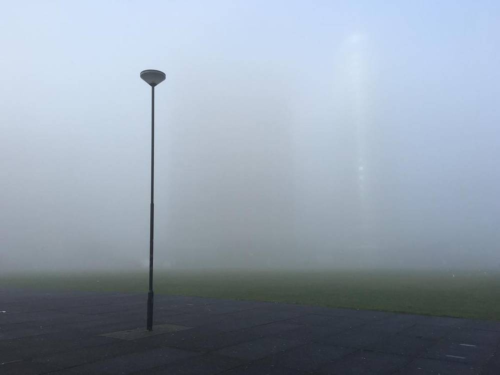 A lone streetlight standing in thick fog over a field.