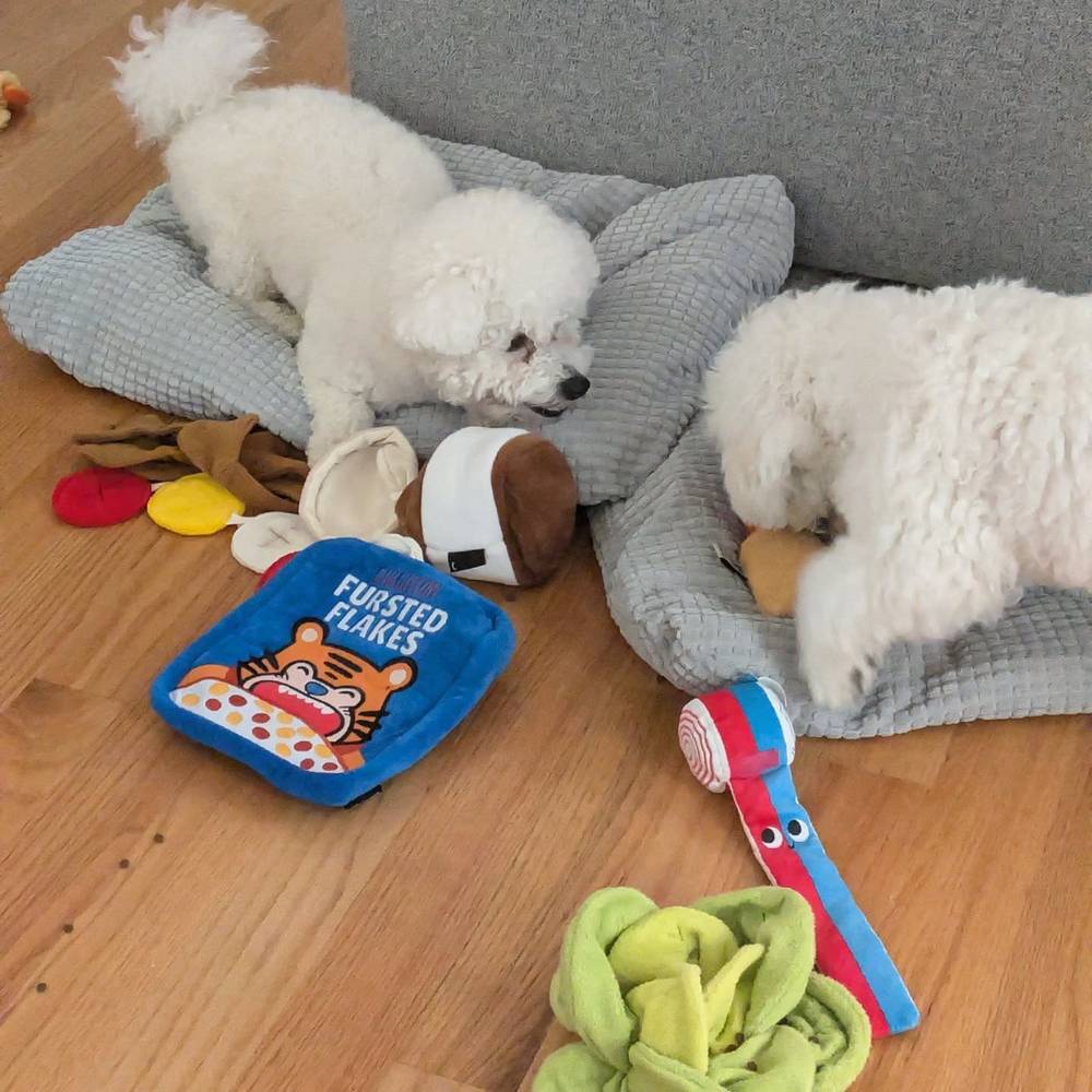 It's a little too hot to play outside, so mommy brought out all our favorite nose work toys 🎉, photo 1 of 1