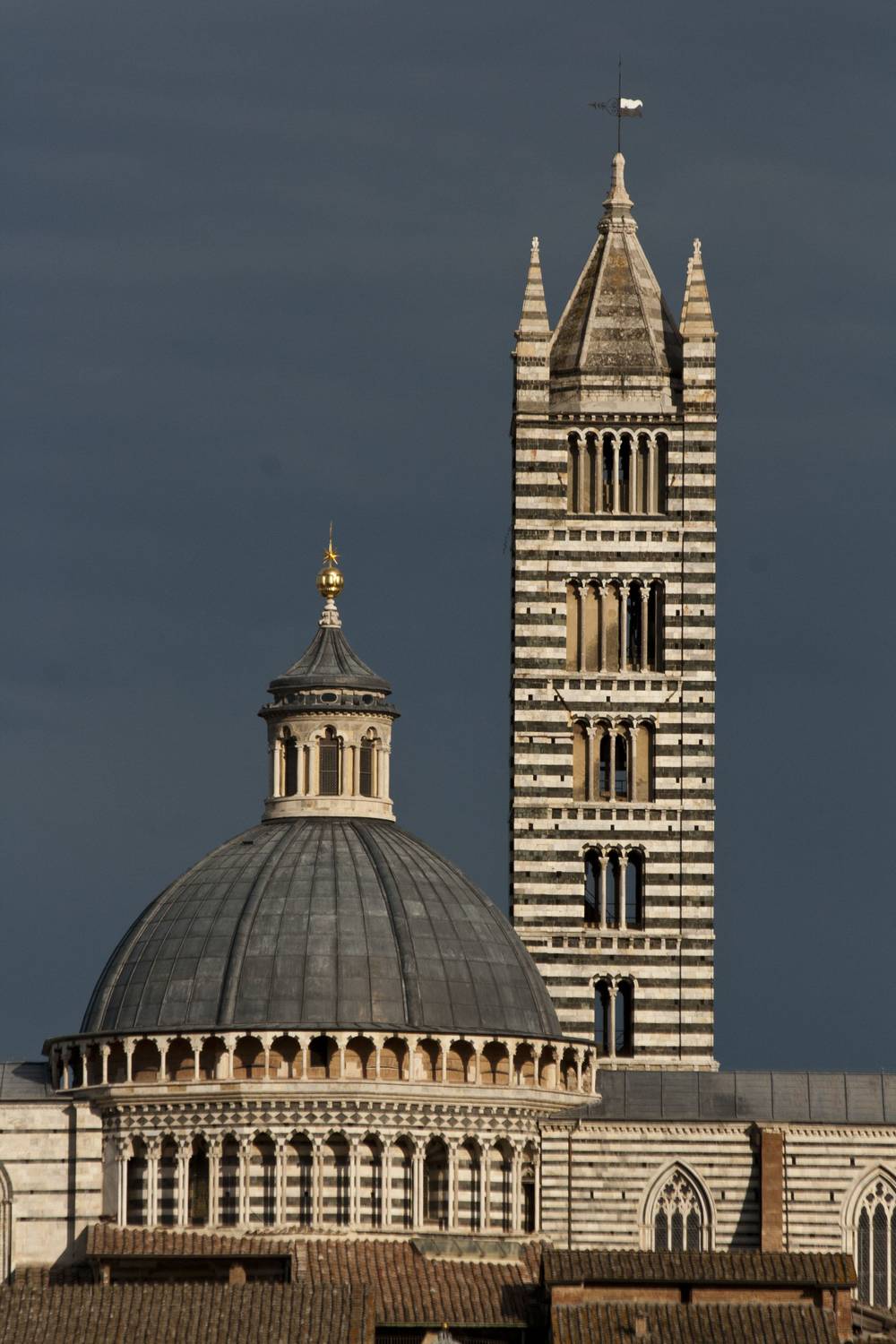 Siena's striped cathedral tower and dome rise above the city's rooftops.