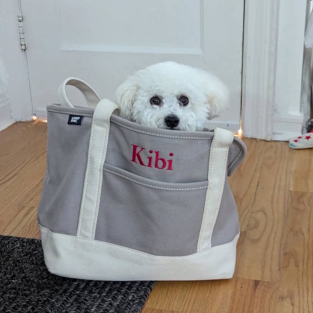 I'm ready to go shopping 🛍️