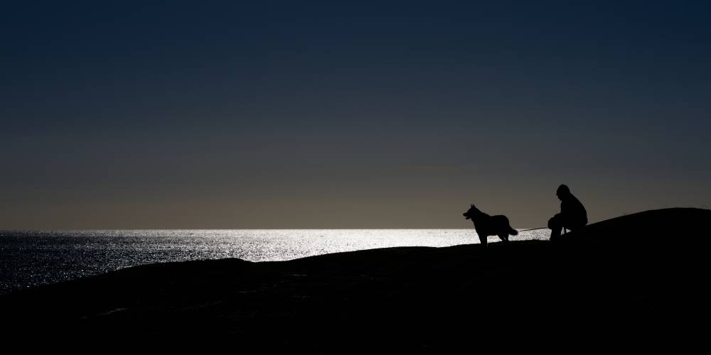 Silhouette of a man with a dog on a hill, with the sun reflecting against the sea in the background.