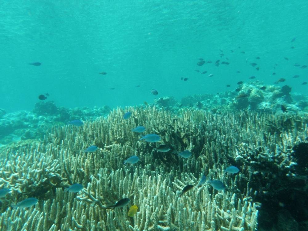 Bali, photo 2 of 5
