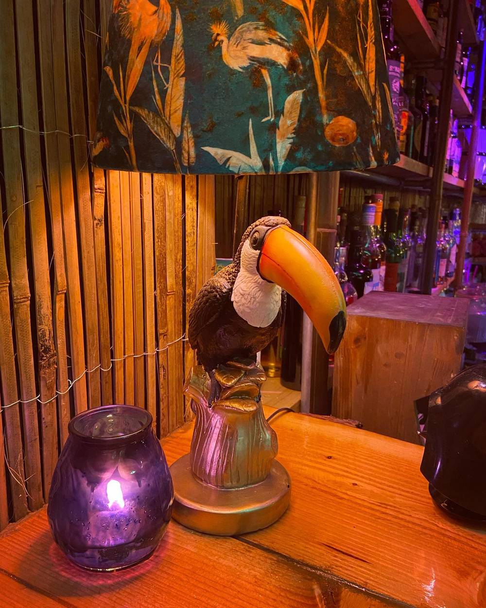 🌴🍹🦜