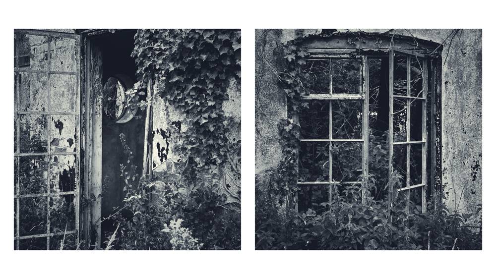 Two black and white photographs side-by-side show the decaying, overgrown exterior of an abandoned building.Left panel: An open, multi-paned glass door reveals a dark interior with a round mirror on the wall. Ivy and wild plants heavily overgrow the peeling wall and doorway.Right panel: An arched window frame with missing glass panes is choked with thick ivy and dense wild bushes growing from both outside and inside the structure.