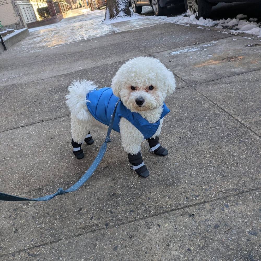 Watch out ladies, these boots are made for more than just walking (kicking snow after I pee)