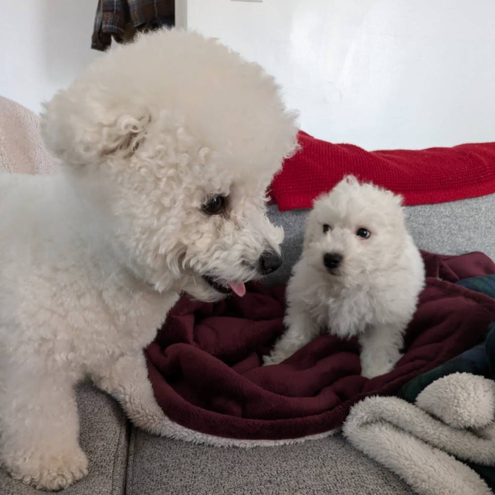 Throwback to when my little brother Kewpie was actually little..., photo 1 of 5