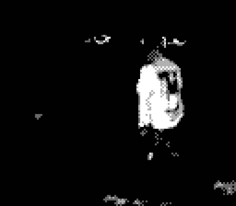 Game Boy Camera Concert Photography