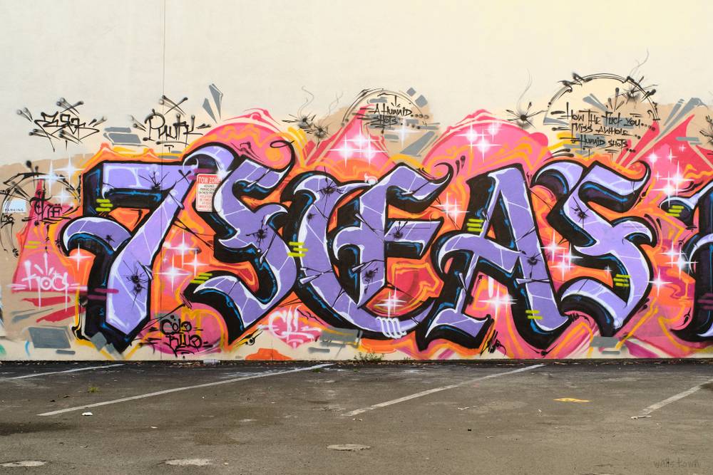 7 SEAS