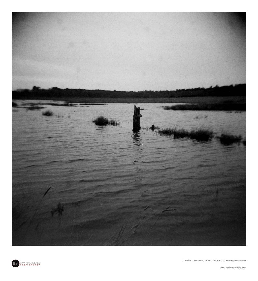 Lone Post, Dunwich, Suffolk 2026