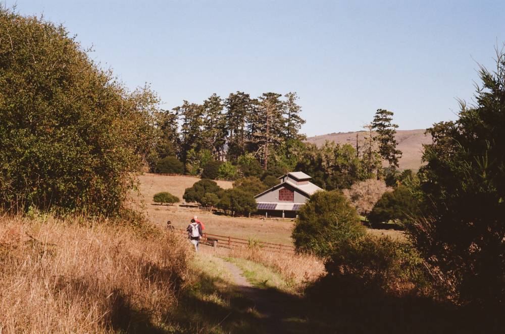 Point Reyes , photo 2 of 2