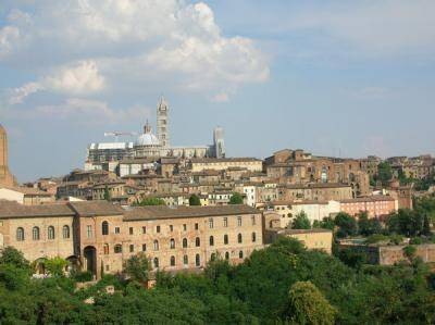 A hillside view over the medieval rooftops and cathedral of Siena.