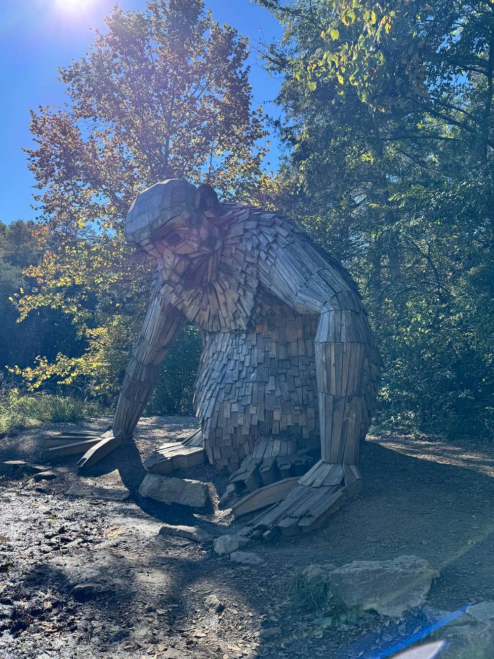 Forest Giants in a Giant Forest, photo 2 of 2